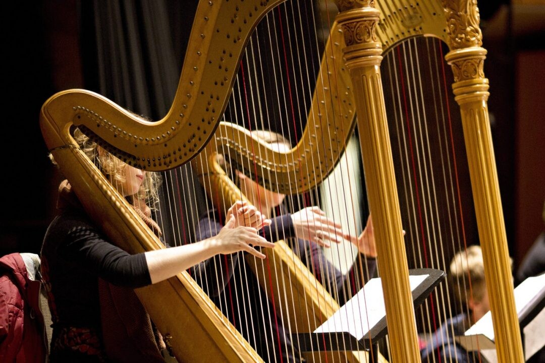 RioHarp Festival transforma Rio na capital mundial das harpas